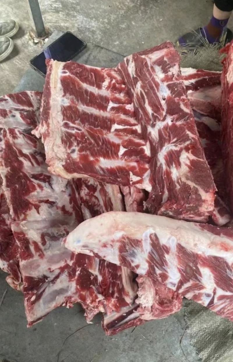 国产纯干满肉全牛脊骨厂家直供自家屠宰厂质量保证欢迎