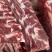 国产纯干满肉全牛脊骨厂家直供自家屠宰厂质量保证欢迎