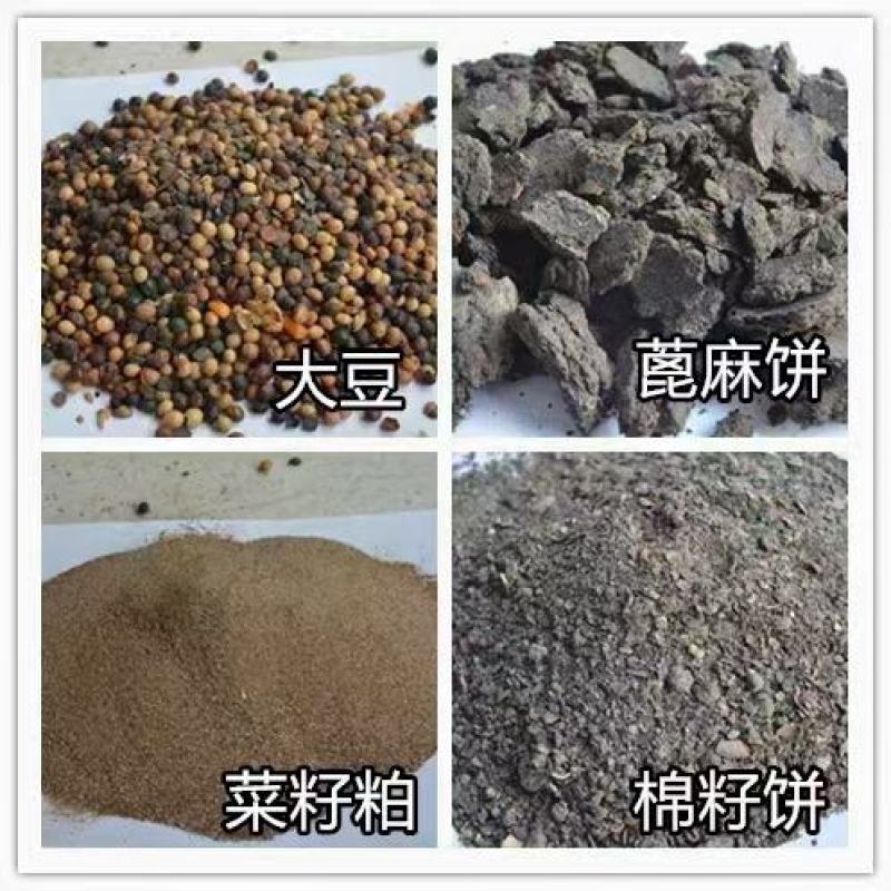 生物有机肥，粉剂颗粒根茎作物用肥，大蒜，山药，生姜，