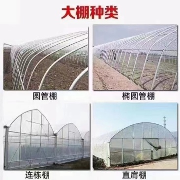 [精品]天津大棚西瓜棚蔬菜大棚温室大棚整套大棚