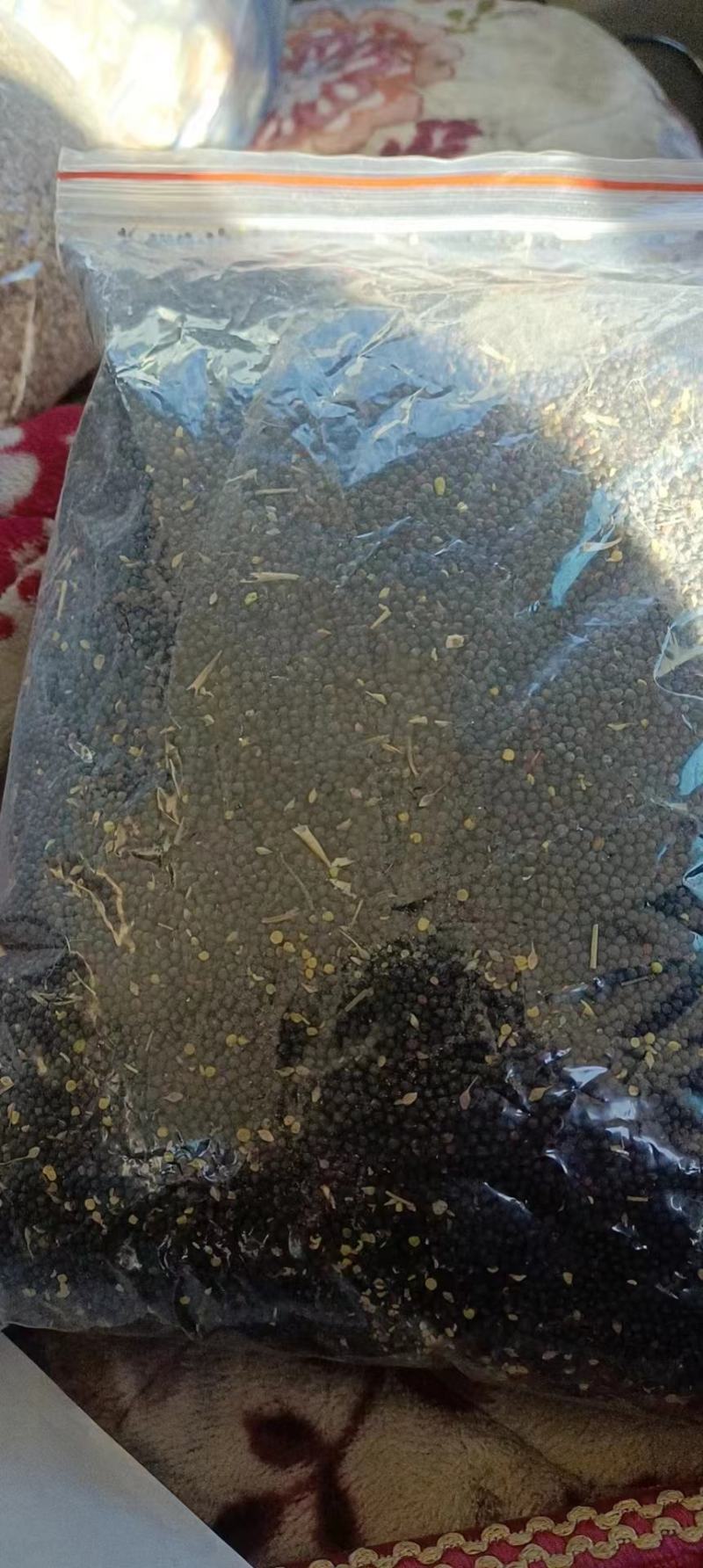 内蒙古呼伦贝尔牙克石市油菜籽