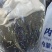 内蒙古呼伦贝尔牙克石市油菜籽