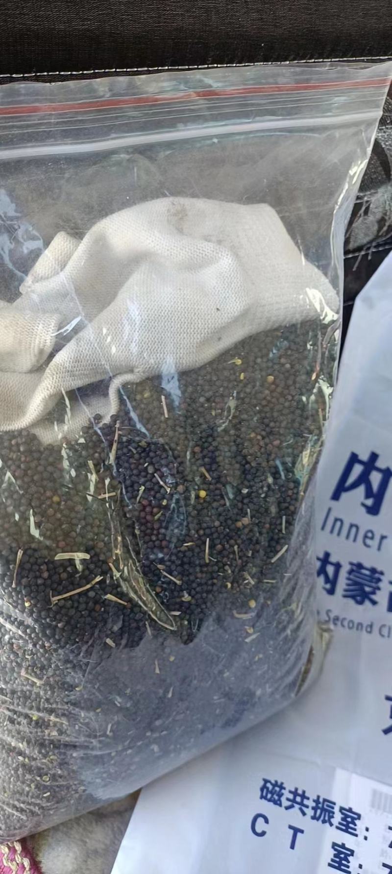 内蒙古呼伦贝尔牙克石市油菜籽