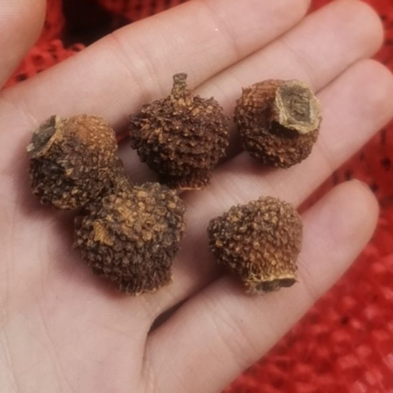 刺梨干果出售300斤，10元每斤包邮