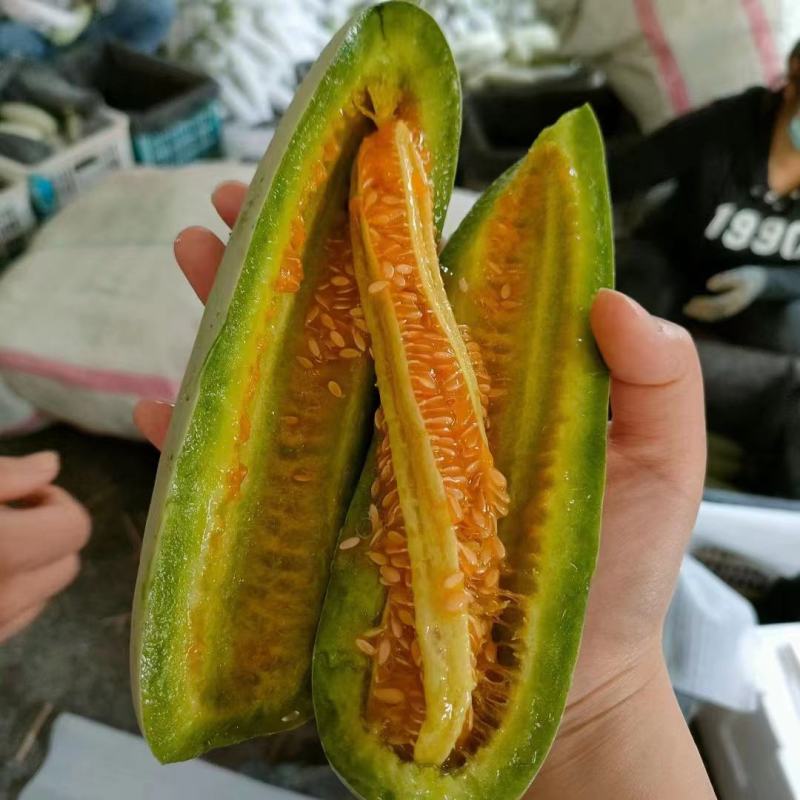 羊角蜜甜瓜（山东甜瓜）产地直供一手货源脆甜多汁