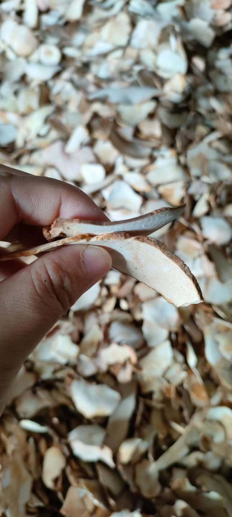 野生土茯苓干片厚片肉质粉白煲汤甘味无硫质量好