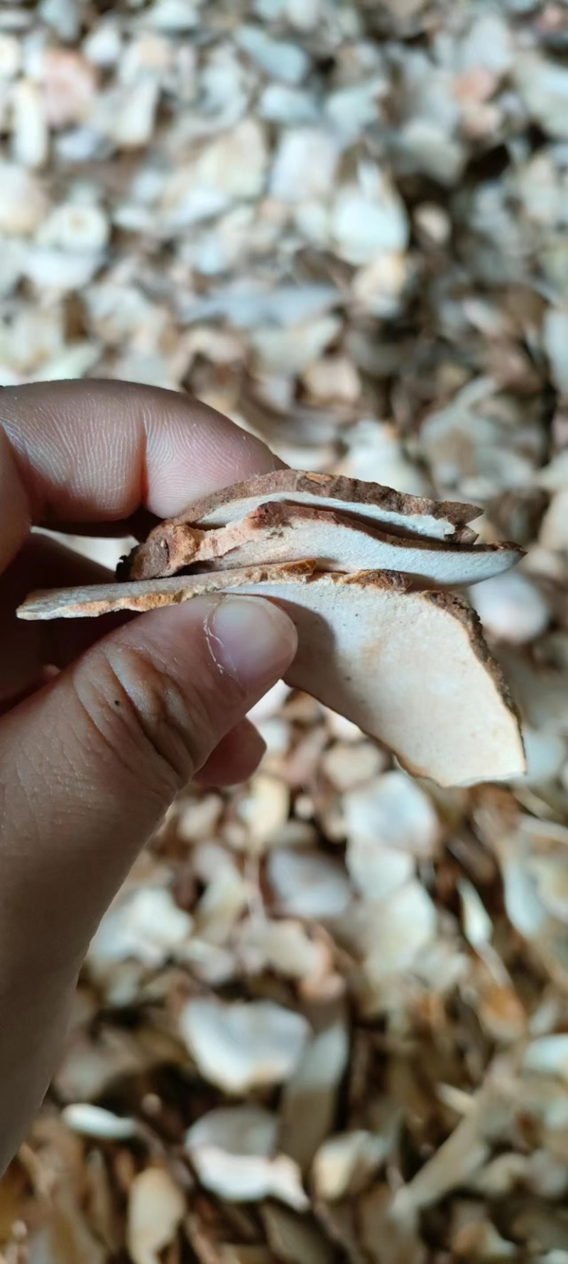 野生土茯苓干片厚片肉质粉白煲汤甘味无硫质量好