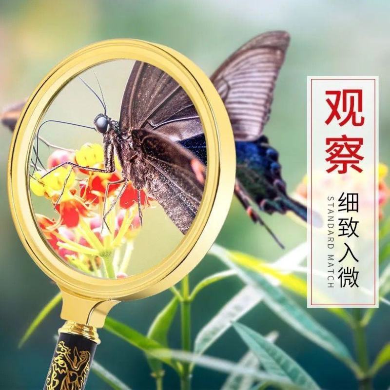 高清手持式光学放大镜10倍老人用便携式阅读维修老年人看