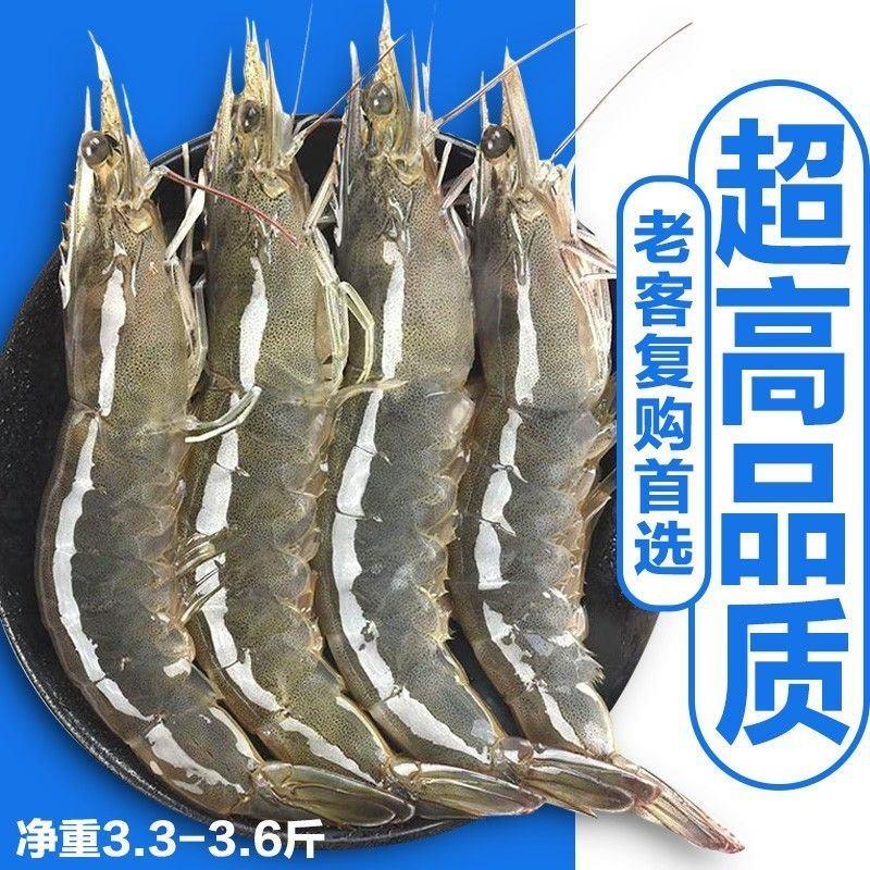 【美苹】青岛大虾超大水冻海虾鲜活冷冻白虾对虾新鲜海捕大虾