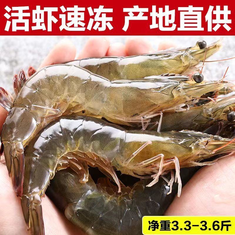 【美苹】青岛大虾超大水冻海虾鲜活冷冻白虾对虾新鲜海捕大虾