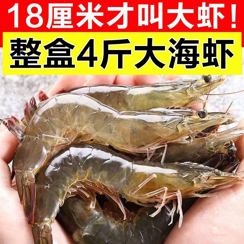 【美苹】青岛大虾超大水冻海虾鲜活冷冻白虾对虾新鲜海捕大虾