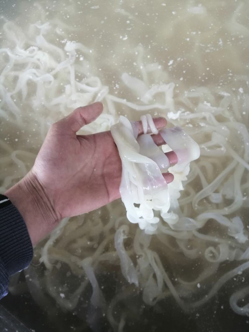 水发鹅肠去油干净保证质量正规厂家火锅酒店冒菜店高端食材