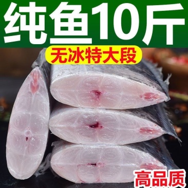 【无冰净重】冰鲜部族正宗国产带鱼整箱中段批发特大段纯