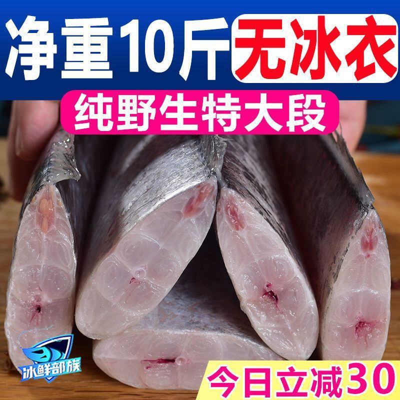 【无冰净重】冰鲜部族正宗国产带鱼整箱中段批发特大段纯
