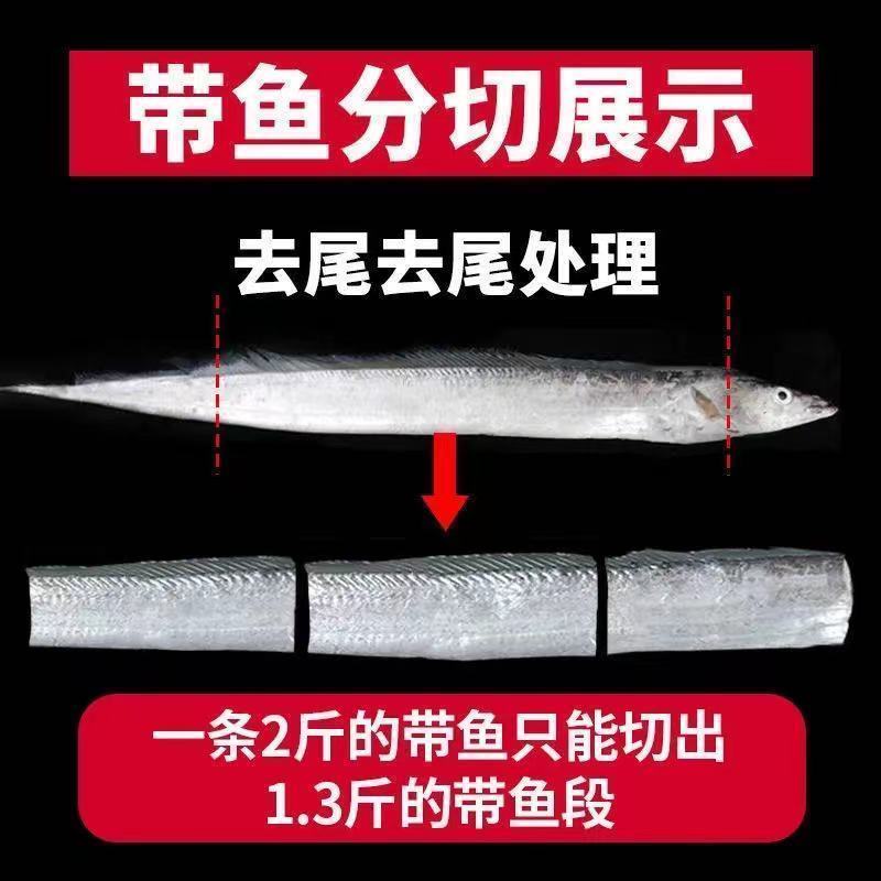 【无冰净重】冰鲜部族正宗国产带鱼整箱中段批发特大段纯