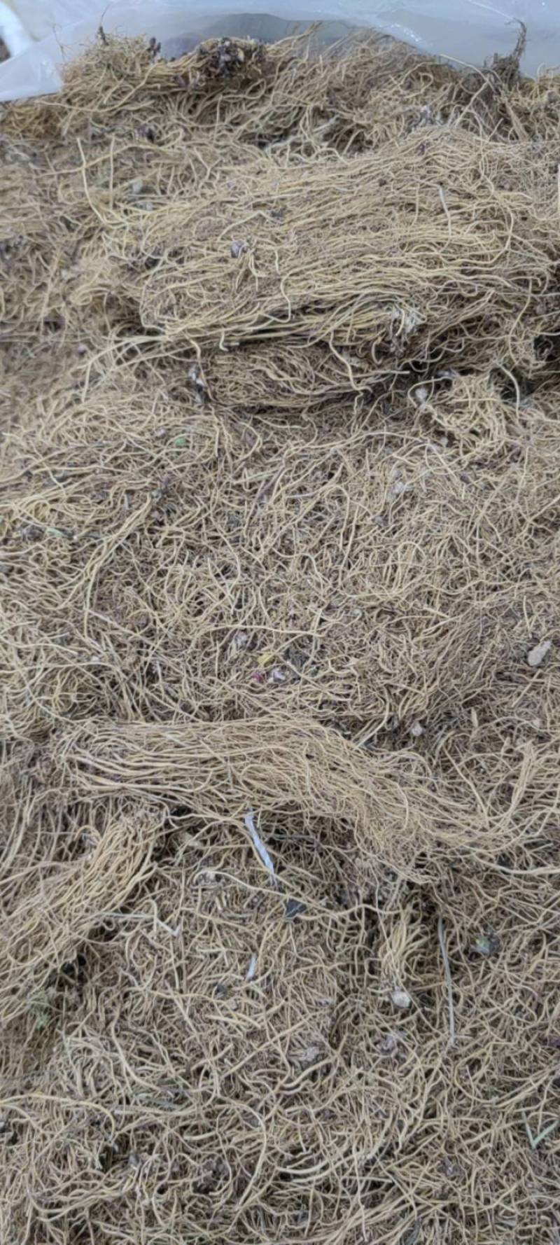 细辛辽细辛新货各种规格各种中药材