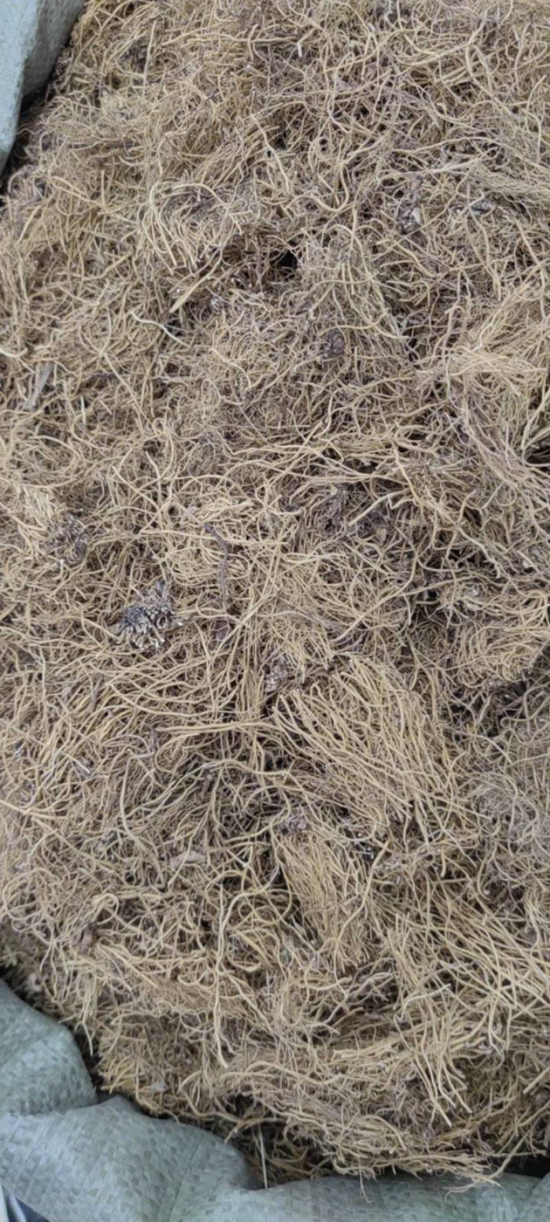 细辛辽细辛新货各种规格各种中药材