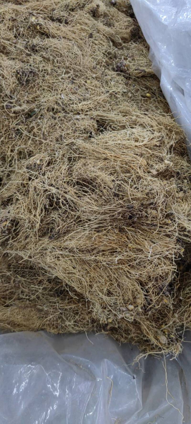 细辛辽细辛新货各种规格各种中药材