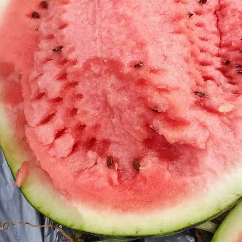 云南西瓜已大量上市，每天都走车，看上的老板速联系！