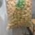珍珠豆泡，豆泡类产品领先品质，这个产品味道香浓，可做汤菜