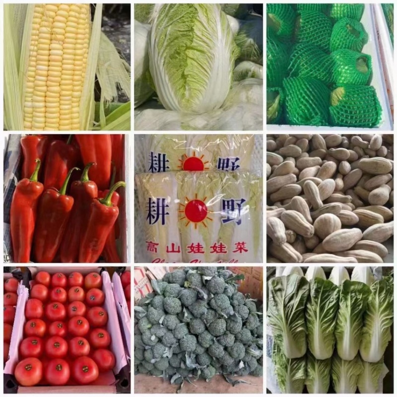 精品菠菜