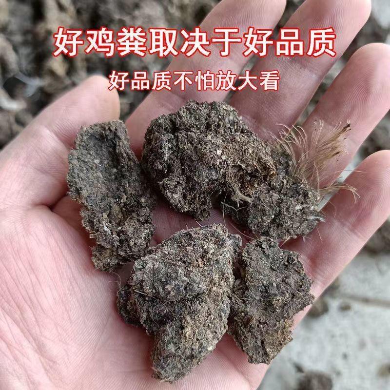 结块干鸡粪纯干有机肥料种菜农家养花果蔬鸡粪块