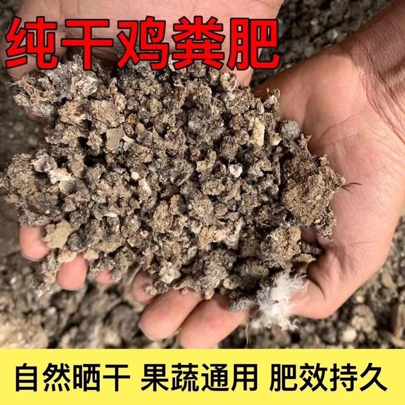 结块干鸡粪纯干有机肥料种菜农家养花果蔬鸡粪块