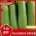 【热卖中】新鲜绿皮蕃瓜上市，条形好，颜色绿可视频
