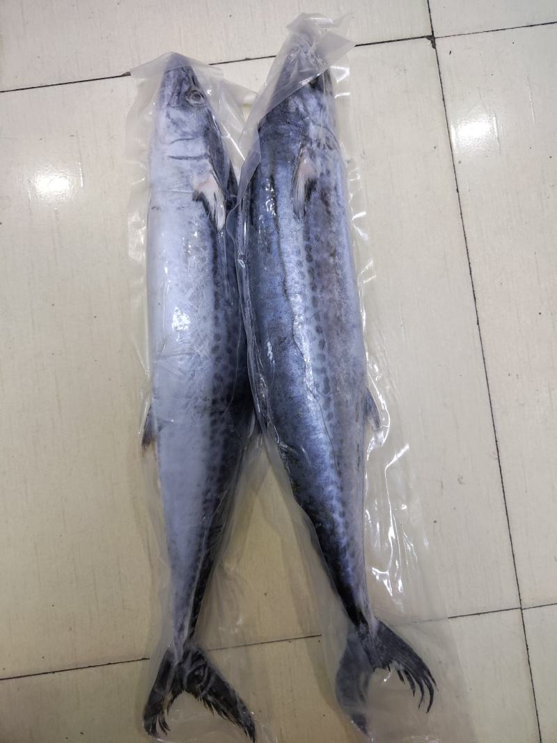黄沙港带鱼，黄鱼，鲳鱼！鱿鱼！马鲛，各类海货
