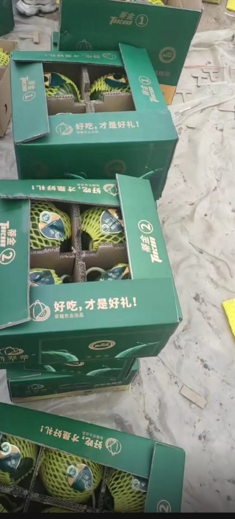 东台特小凤西瓜大量上市质量上乘货源充足欢迎订购
