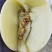 【推荐】精品白甜瓜上市中，东方蜜甜瓜，大量有货欢迎选购