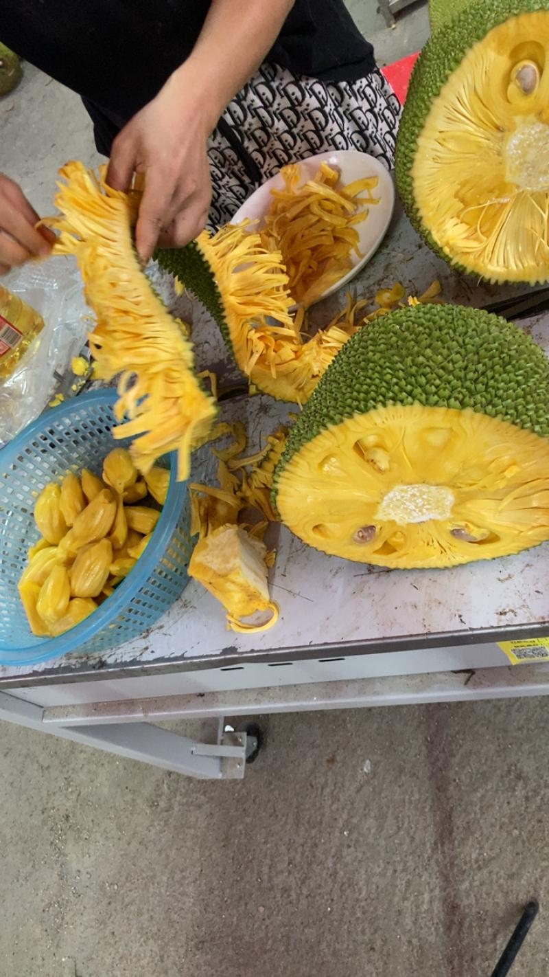 海南菠萝蜜现场剥肉，货源充足，量大从优，全国发货