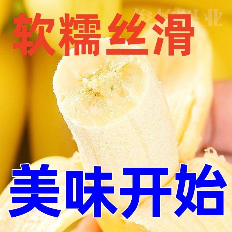 5斤广海南皇帝蕉香蕉孕妇水果banana当季新鲜青皮发货