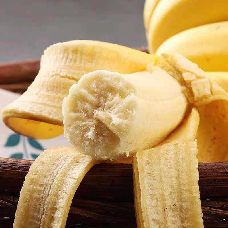 广西威廉斯香蕉整箱批发应季水果新鲜自然熟大香蕉香蕉包邮
