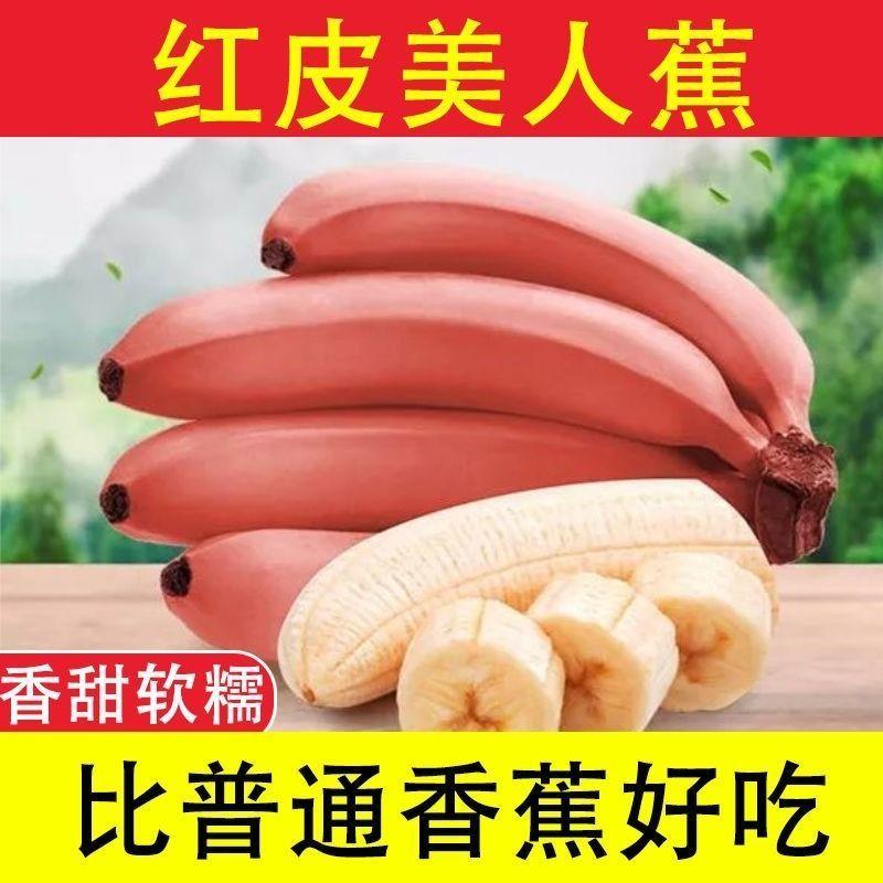 新鲜发货福建土楼特产红皮香蕉红美人蕉咖啡蕉水果批发红香蕉