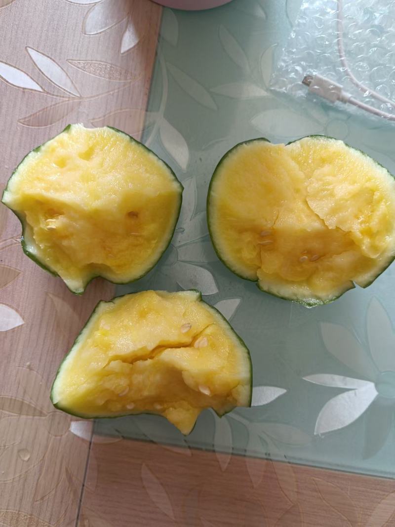 小兰黄瓤西瓜苗黄小玉小礼品黄瓤西瓜苗早熟皮薄糖度高