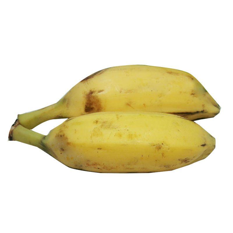 广东芭蕉大蕉牛角蕉香蕉批发包邮