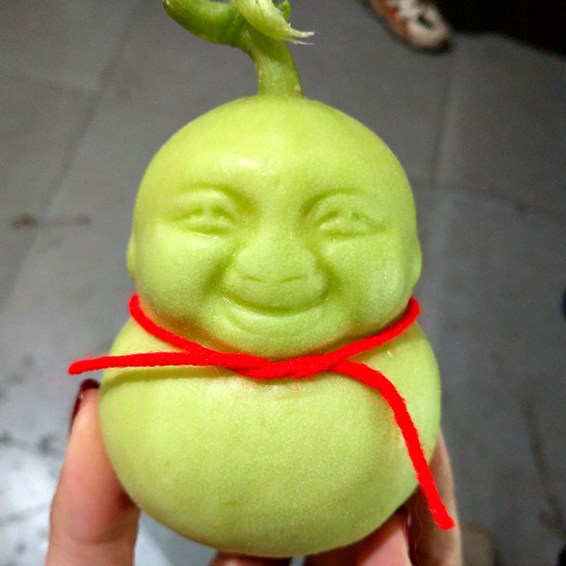 人参果水果人形福娃甜瓜制作娃娃礼品多规格人参果包邮