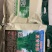 夏绿香菜种子，耐高温，香味浓郁，品质优良