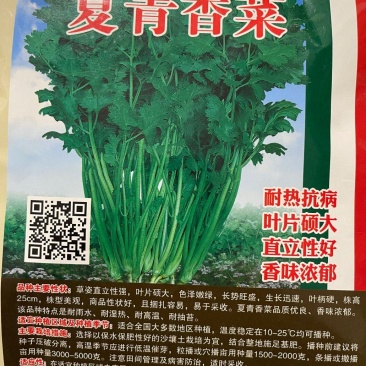 夏绿香菜种子，耐高温，香味浓郁，品质优良