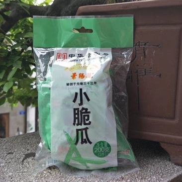 景阳观小脆瓜黄瓜杭州香脆乡村户外上海小青瓜脆甜