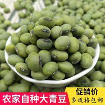 新货大青豆250g/5斤包邮苏北农家种干青豆青皮绿心