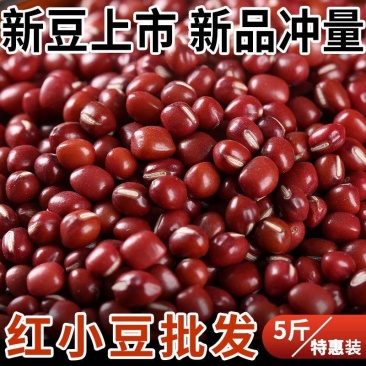 东北新精选红豆薏米粥五谷杂粮小豆红小豆大粒红豆包邮