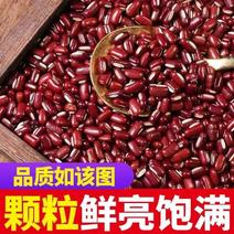 新货赤小豆赤豆小赤豆小红豆农家自产五谷杂粮红豆材料