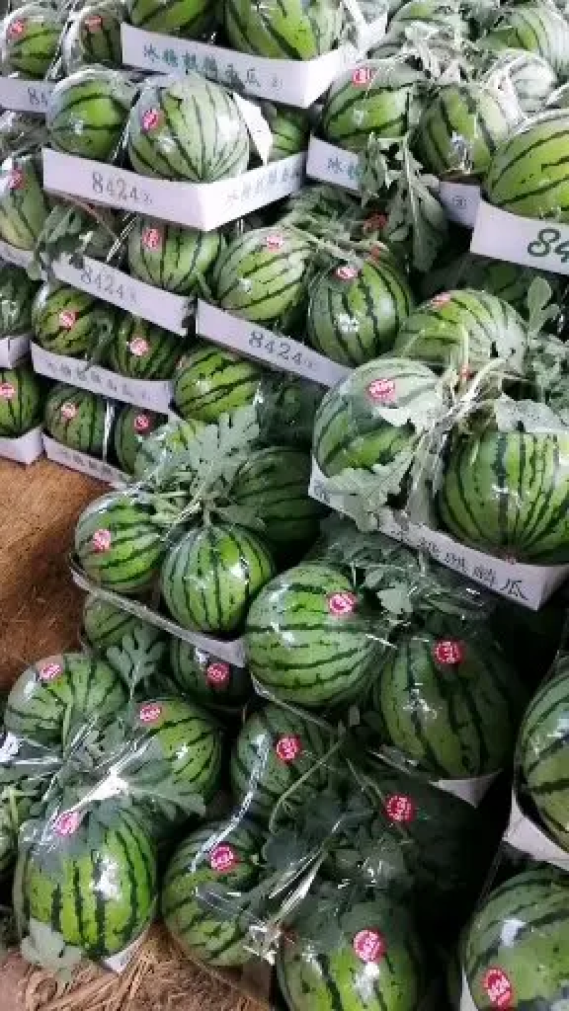【推荐】精品麒麟西瓜基地直发品种规格齐全量大从优