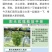尼娜皇后，阳光玫瑰葡萄自己家大棚的芽自己培育的保纯度生茬1