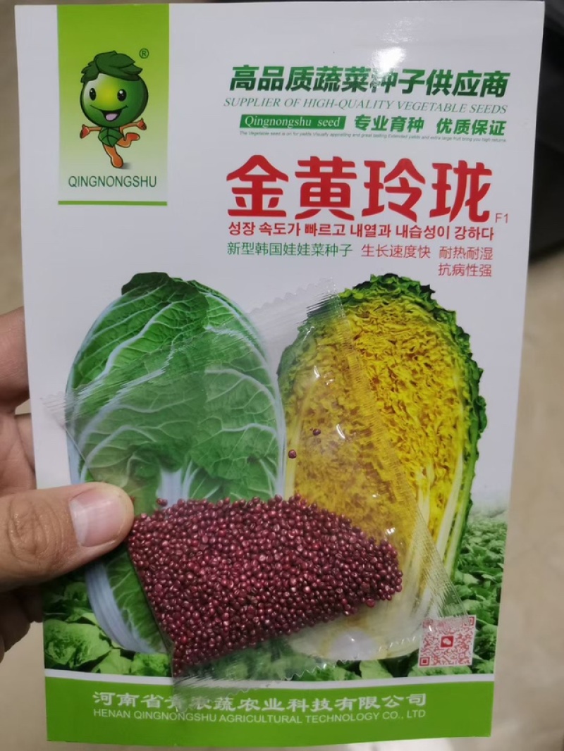 春秋玲珑凰耐抽苔耐高温圆头娃娃菜种子黄心白菜种子产量高
