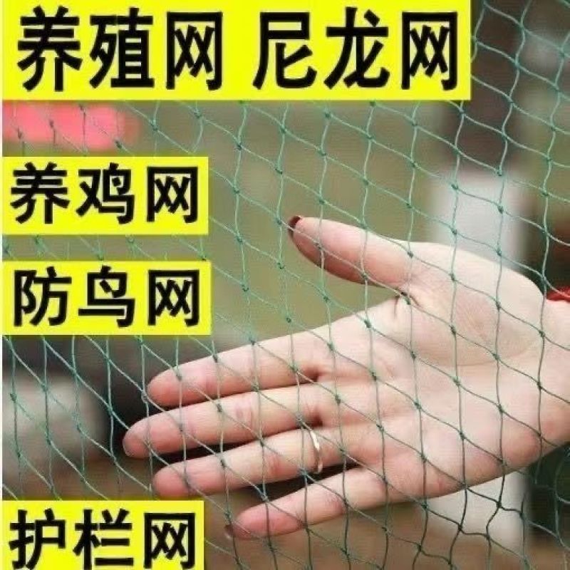 养鸡网养殖网拦鸡网围栏网尼龙网家禽养鸡围网格网果园护栏网