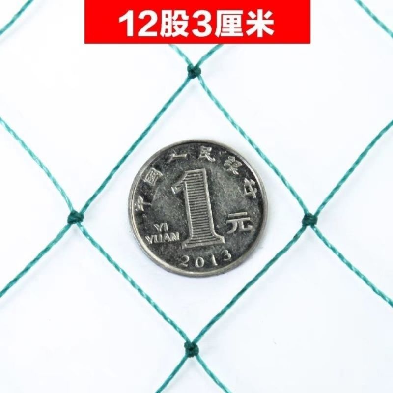家禽养殖网尼龙网养鸡防飞网防鸟拦鸡搭顶网围栏爬藤网隔离网