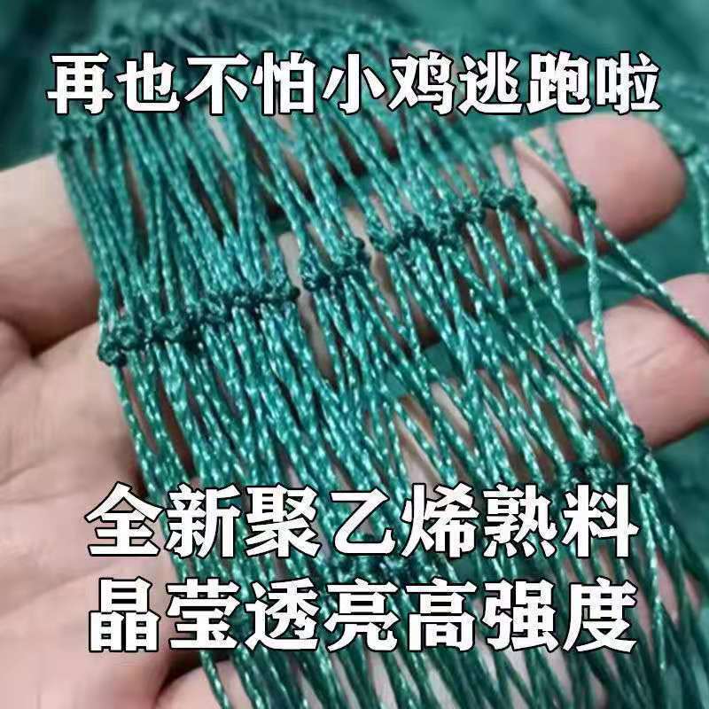 家禽养殖网尼龙网养鸡防飞网防鸟拦鸡搭顶网围栏爬藤网隔离网
